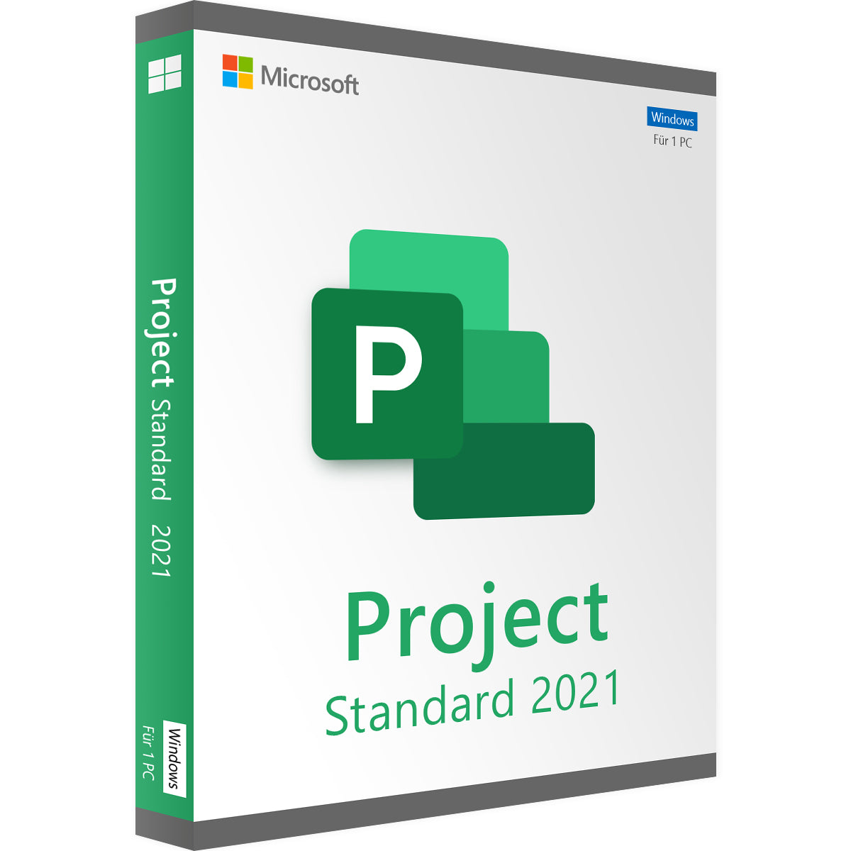 Project 2021 Standard